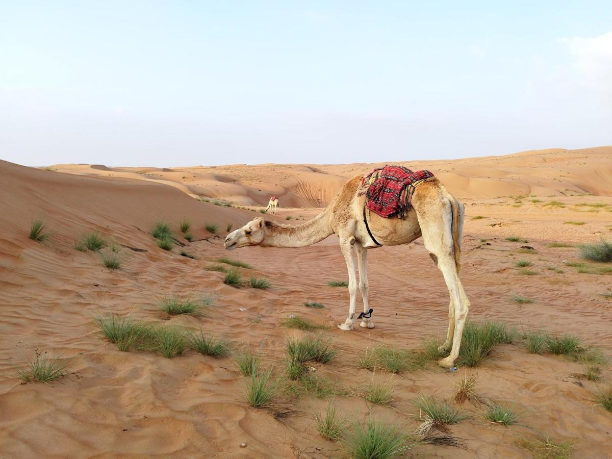 Sands Dream Tourism Camp Shāhiq Esterno foto