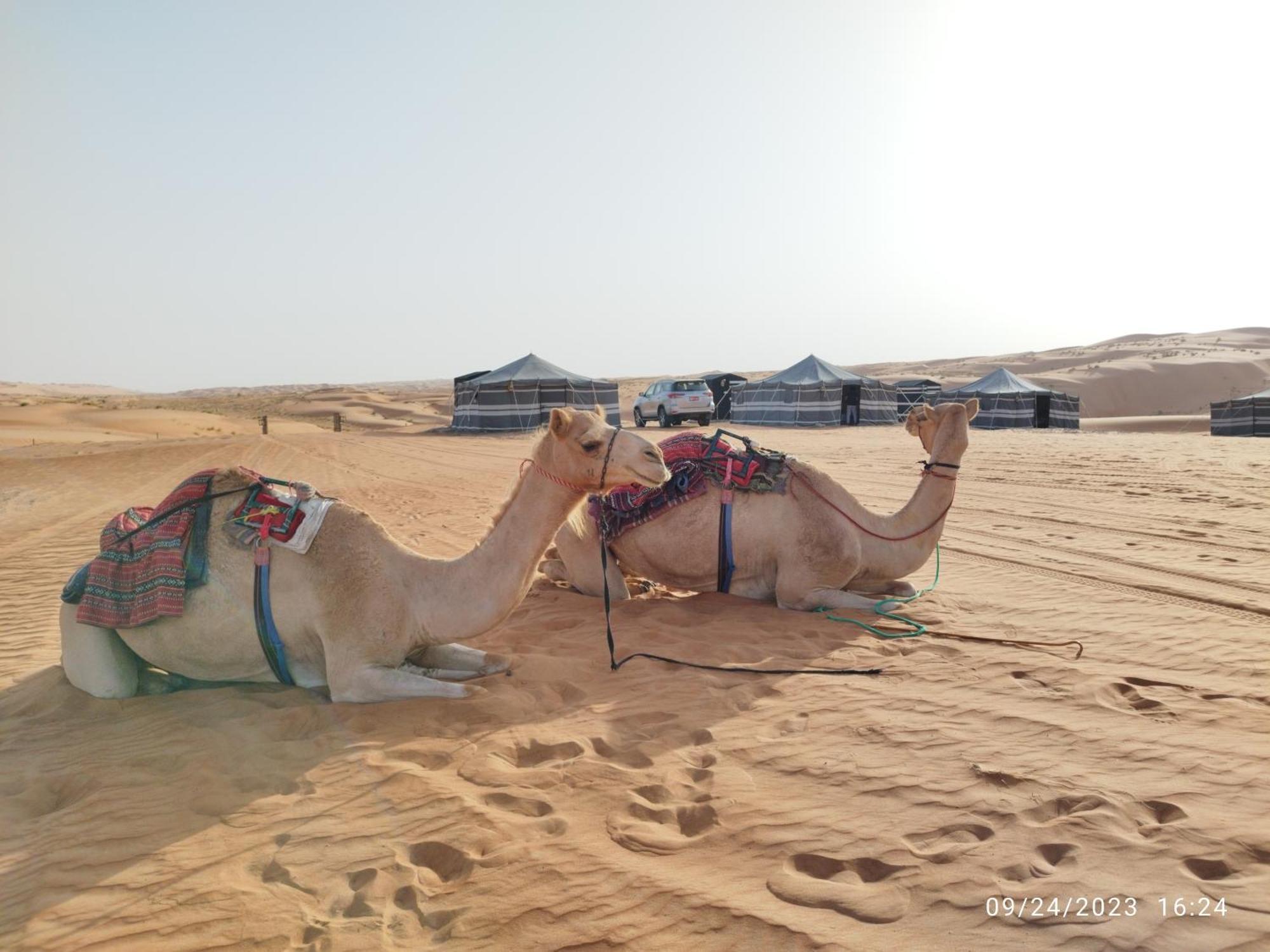 Sands Dream Tourism Camp Shāhiq Esterno foto